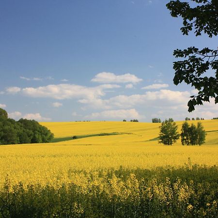 Fewo Am Geyersberg Oberschöna Kültér fotó